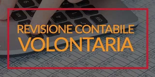 revisione contabile