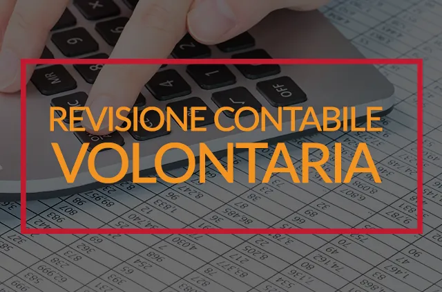 revisione contabile